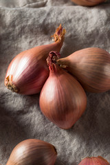 Wall Mural - Raw Purple Organic Shallots