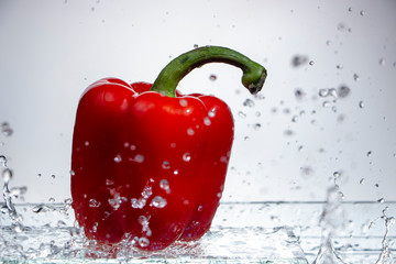 Wall Mural - Paprika Splash in Water on white background,sweet pepper drop in the water