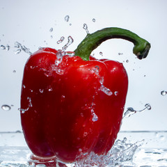 Wall Mural - Paprika Splash in Water on white background,sweet pepper drop in the water