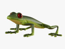 Green Frog Side View On White Background 3d Rendering