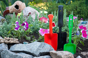 Three plastic shovels green black red, on the ground spring works loosening planting flowers, against the background of a bed of natural stone, petunia flowers of green grass sunny day spring rest bea