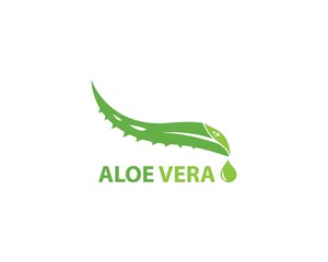 Wall Mural - Aloe vera logo vector