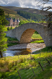 Fototapeta Natura - Stone Bridge over Creek with Estate in Scotland