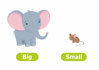 Vector antonyms and opposites. Cartoon characters illustration on white background. Card for children сan be used as a teaching aid for a foreign language learning. Big and Small.