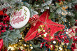 © Nancy Anderson - Christmas tree decorated with Merry Christmas ornament and large red star