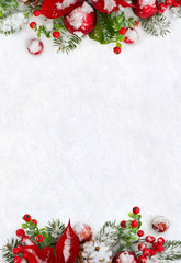 christmas decoration. frame of flower of red poinsettia, twigs christmas tree, christmas red balls, 