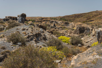 Wall Mural - Canary islands lanzarote desort landscape outdoor