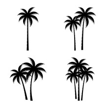 A Palm Tree Silhouette Set.