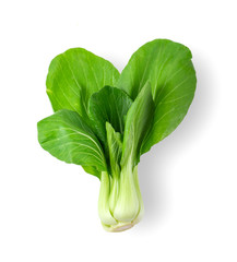 Bok choy vegetable isolated on the white background. top view