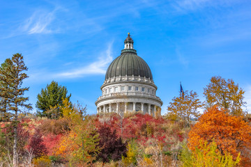 Wall Mural - Dome of the capital building peaking over trees