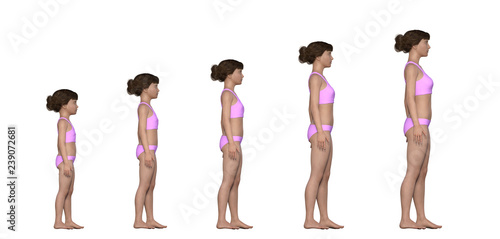 Female Body Growth Chart