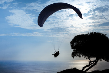 A tandem flight of paraglider and passenger appear in silhouette as they return to the ground after a late afternoon aerial trip.