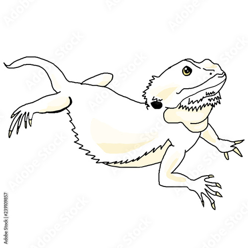 フトアゴヒゲトカゲ ハイポゼロ Stock Illustration Adobe Stock フトアゴヒゲトカゲ ハイポゼロ Stock Illustration Adobe Stock