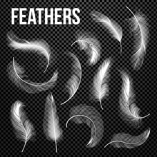 Feathers Set Vector. Different Falling White Fluffy Twirled Feathers. Feather Bird, Soft White Plume Design. Insomnia, Healthy Sleep, Dreams Concept. Isolated Transparent Realistic Illustration