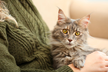 Woman with adorable Maine Coon cat at home, closeup