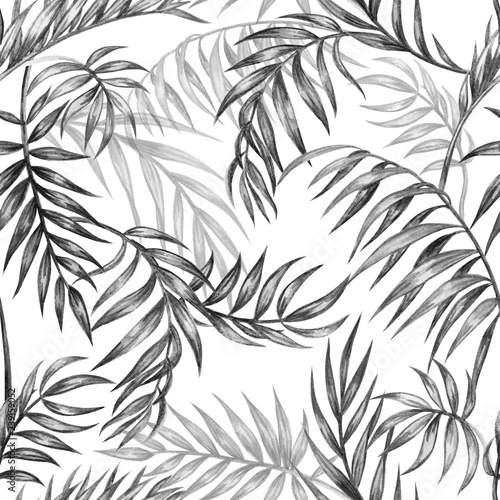 Dekoracja na wymiar  czarno-bialy-wzor-lisci-palmowych-tropikalny-tlo-rysunek-odreczny
