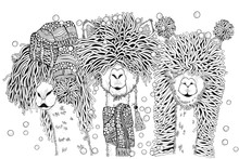 Llamas Party. Happy New Year. Coloring Book Page For Adult And Children In Doodle Style. A4 Size. Black And White. Hand-drawn Christmas Alpacas.