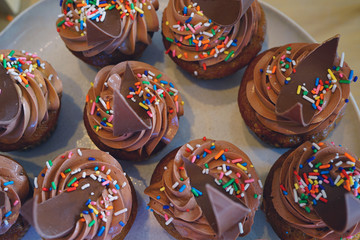 Wall Mural - Platter of chocolate cupcakes with buttercream frosting and colorful sprinkles