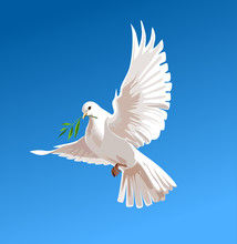 White Doves On A Blue Background, Vector Illustration, Business Design Templates. White Pigeon Isolated. Beautiful Shiny White Dove With Olive Twig Flying Way Up In A Blue Sky