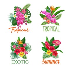 Wall Mural - Tropical banners, flower