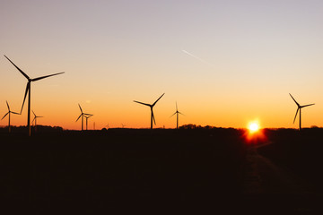 Eoliennes au lever du jour