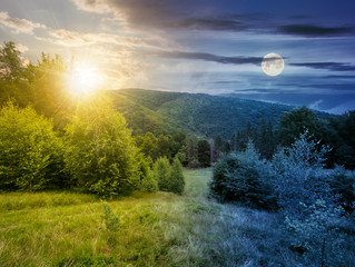 Wall Mural - day and night time change concept. forested area in mountains with sun and moon. calm nature with gr