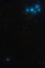 Wall Mural - the pleiades and the comet 46p/wirtanen in the constellation taurus photographed on december 15, 201