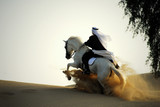 Fototapeta  - arabian horse and rider