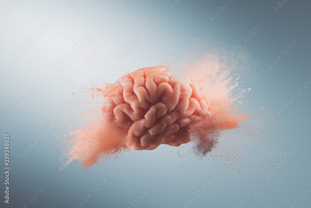 Human brain on a gray background - obrazy, fototapety, plakaty 