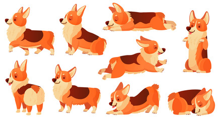 Wall Mural - Cartoon dog character. Sleeping corgi dogs poses, pedigree dog fitness sport exercise and relaxing pet yoga pose isolated vector set