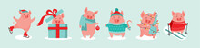 Collection Of Cute Winter Pigs. New 2019 Year. Symbol Of The Year In The Chinese Calendar. Vector Cartoon Isolated Illustration. Year Of Yellow Pig. - Vector