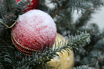 Wall Mural - Christmas balls on fir branches covered with snow. New Year decorations, festive card, winter holiday