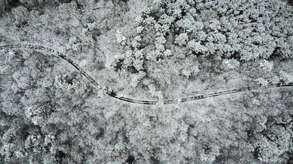 Canvas Print - Aerial top down drone view over road in winter woodland