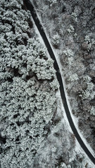 Canvas Print - Aerial top down drone view over road in winter woodland