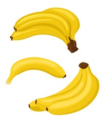 Wall Mural - Banana set. Bunches of fresh banana fruits and single banana isolated on white background, collection of vector illustrations