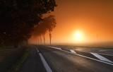 Fototapeta Zachód słońca - Tree lined road in Île de France country