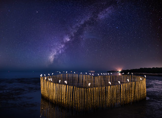 Wall Mural - milky way galaxy, at the west coast of bangpoo thailand. long exposure photograph, with grain.image 