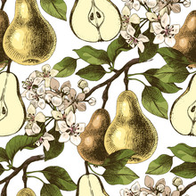 Seamless Pattern With Hand Drawn Pear Branches