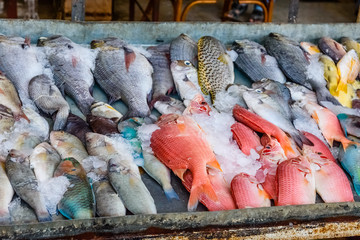 Different fish on fish market in a Hurghada city, Egypt