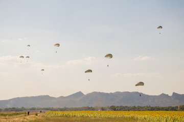 Wall Mural - Jump of paratrooper with white parachute, Military parachute jumper in the sky.