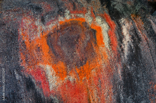 Fotografie, Obraz Sawdust exotic wood abstract background, top View