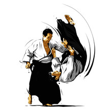 Aikido Action 3