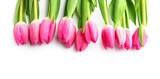 Fototapeta Tulipany - Beautiful tulips for Mother's Day on white background