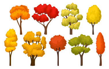 Wall Mural - Flat vector set of autumn trees with bright leaves. Forest plants for mobile game. Nature theme