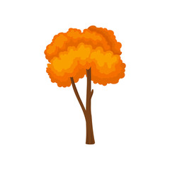 Wall Mural - Flat vector icon of tall tree with bright orange leaves. Landscape element of autumn forest. Nature theme