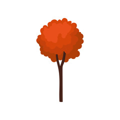 Wall Mural - Small tree with thin trunk and bright orange leaves. Forest plant. Natural landscape element. Flat vector icon