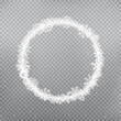 © romvo - snowy round frame template