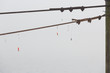 Fishing lures hanging from pylon cable