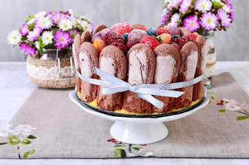 Wall Mural - French charlotte cake with summer fruits.