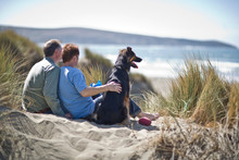 Happy Male Couple At The Beach With Their Dog.